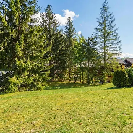 Montana Garden View Near To Grands Montets Lift, Sleeps 4 - Happy 샤모니