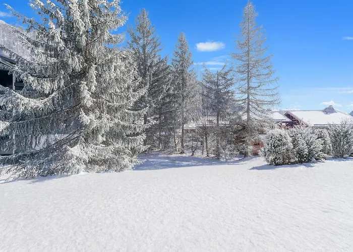 Garden View Montana - Happy Apartament *